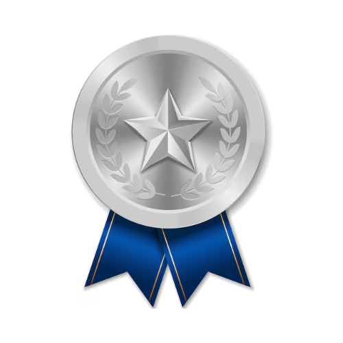 Silver Medal